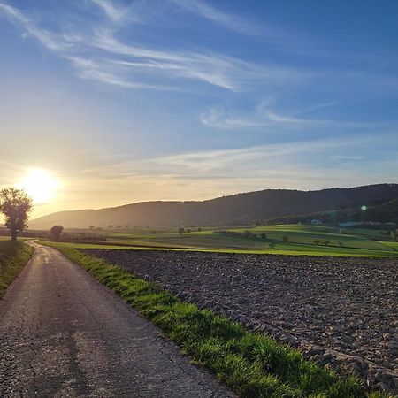 Romantik-Home Nordelsass - Ferienwohnung Fuer Selbstversorger Oberhoffen-les-Wissembourg Dış mekan fotoğraf