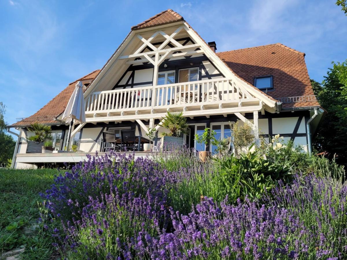 Romantik-Home Nordelsass - Ferienwohnung Fuer Selbstversorger Oberhoffen-les-Wissembourg Dış mekan fotoğraf